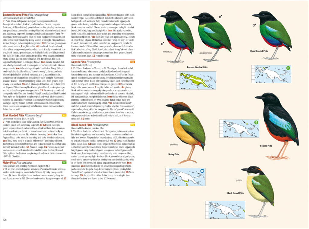 BIRDS OF NEW GUINEA. INCLUDING BISMARCK ARCHIPELAGO AND BOUGAINVILLE 2