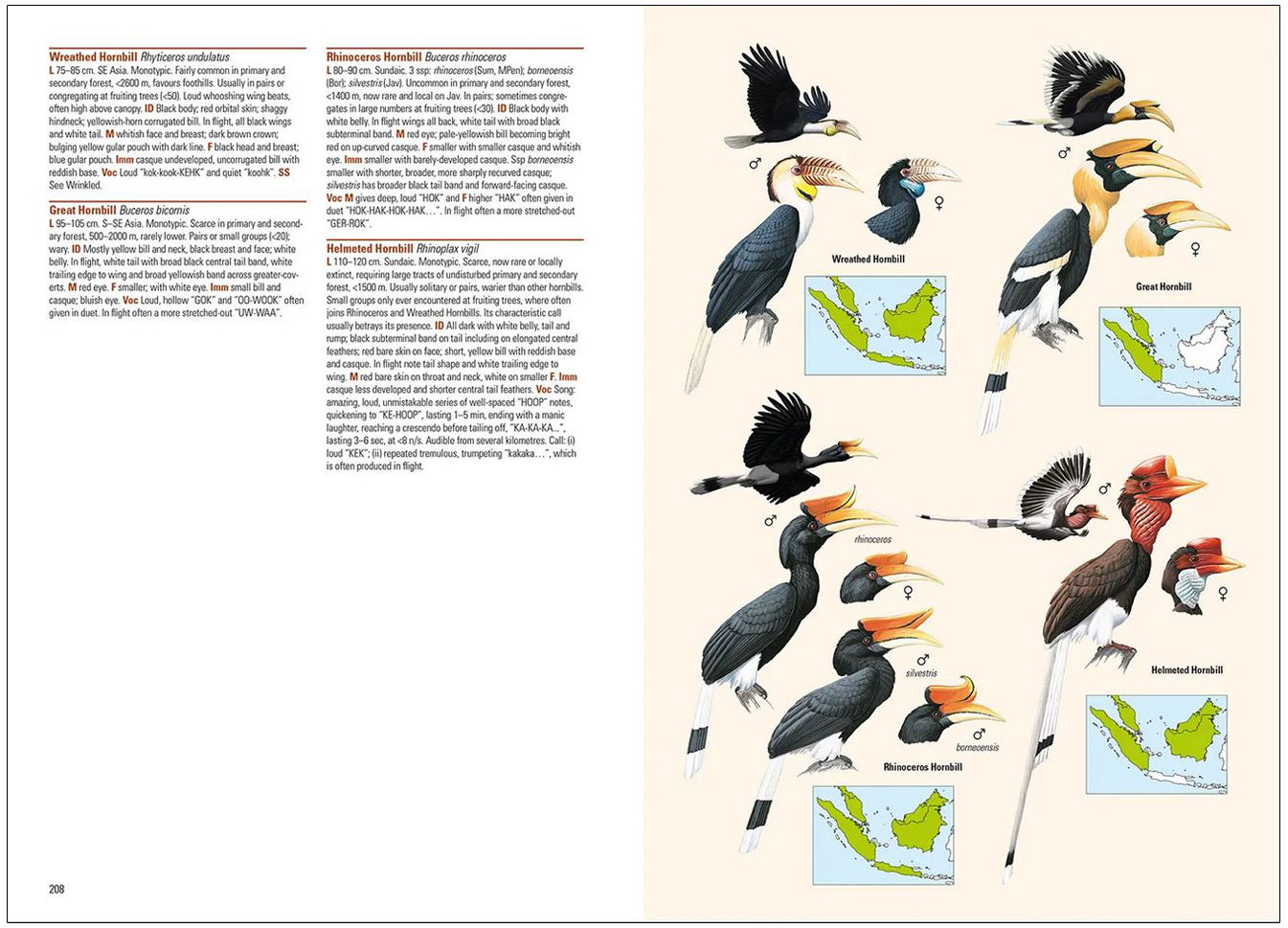 BIRDS OF THE INDONESIAN ARCHIPELAGO. GREATER SUNDAS AND WALLACEA 3
