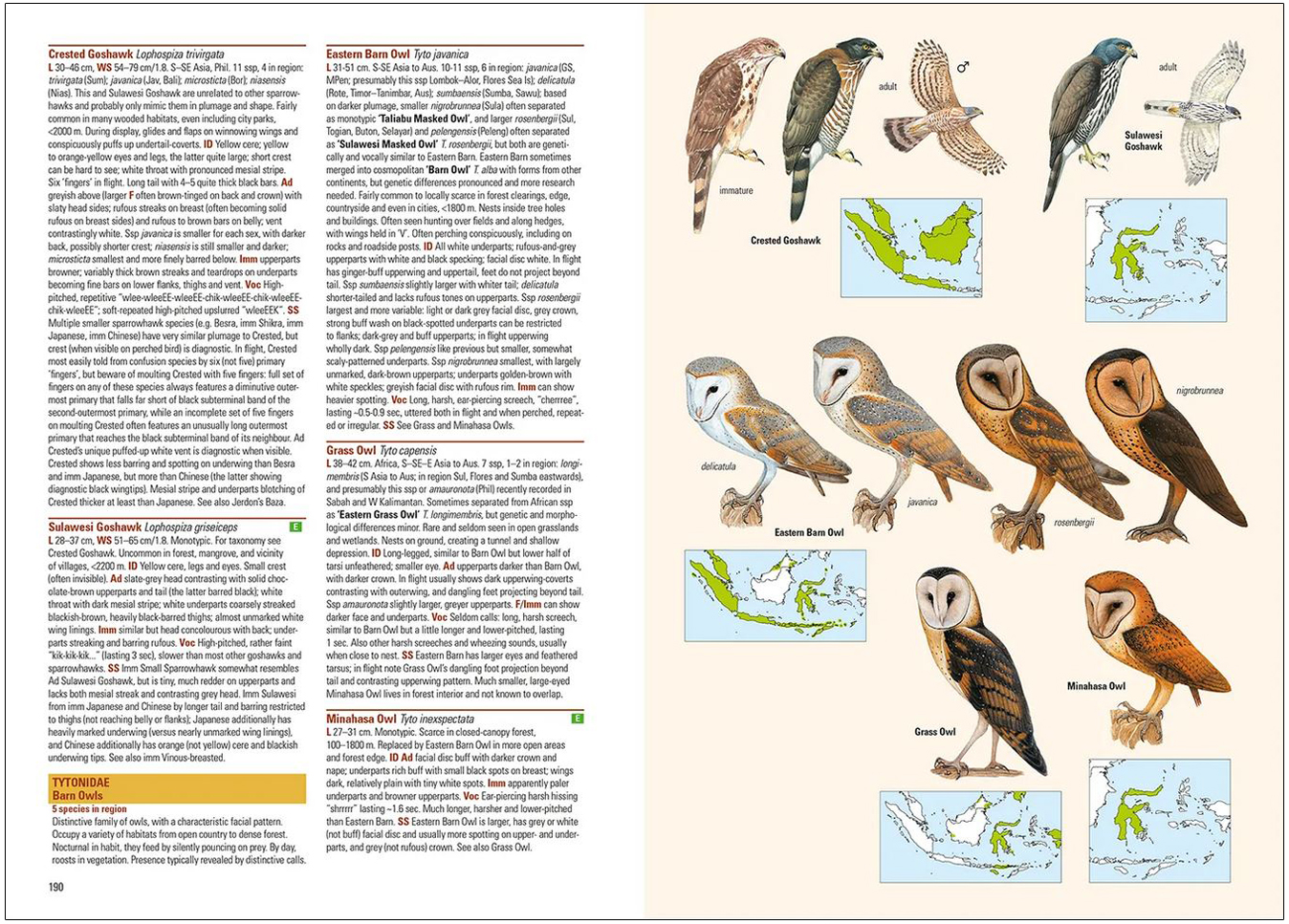 BIRDS OF THE INDONESIAN ARCHIPELAGO. GREATER SUNDAS AND WALLACEA 4