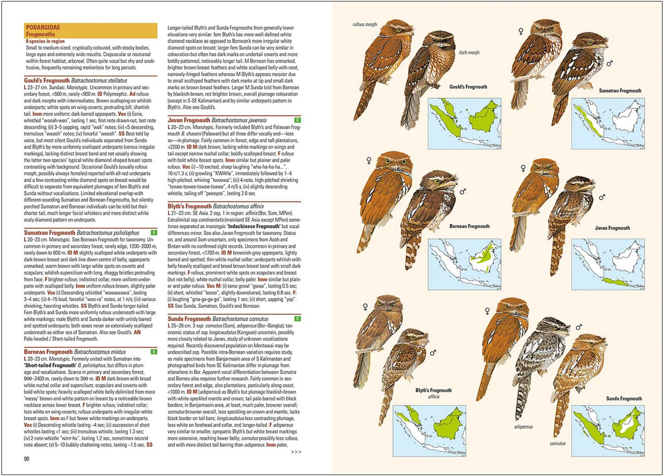 BIRDS OF THE INDONESIAN ARCHIPELAGO. GREATER SUNDAS AND WALLACEA 5