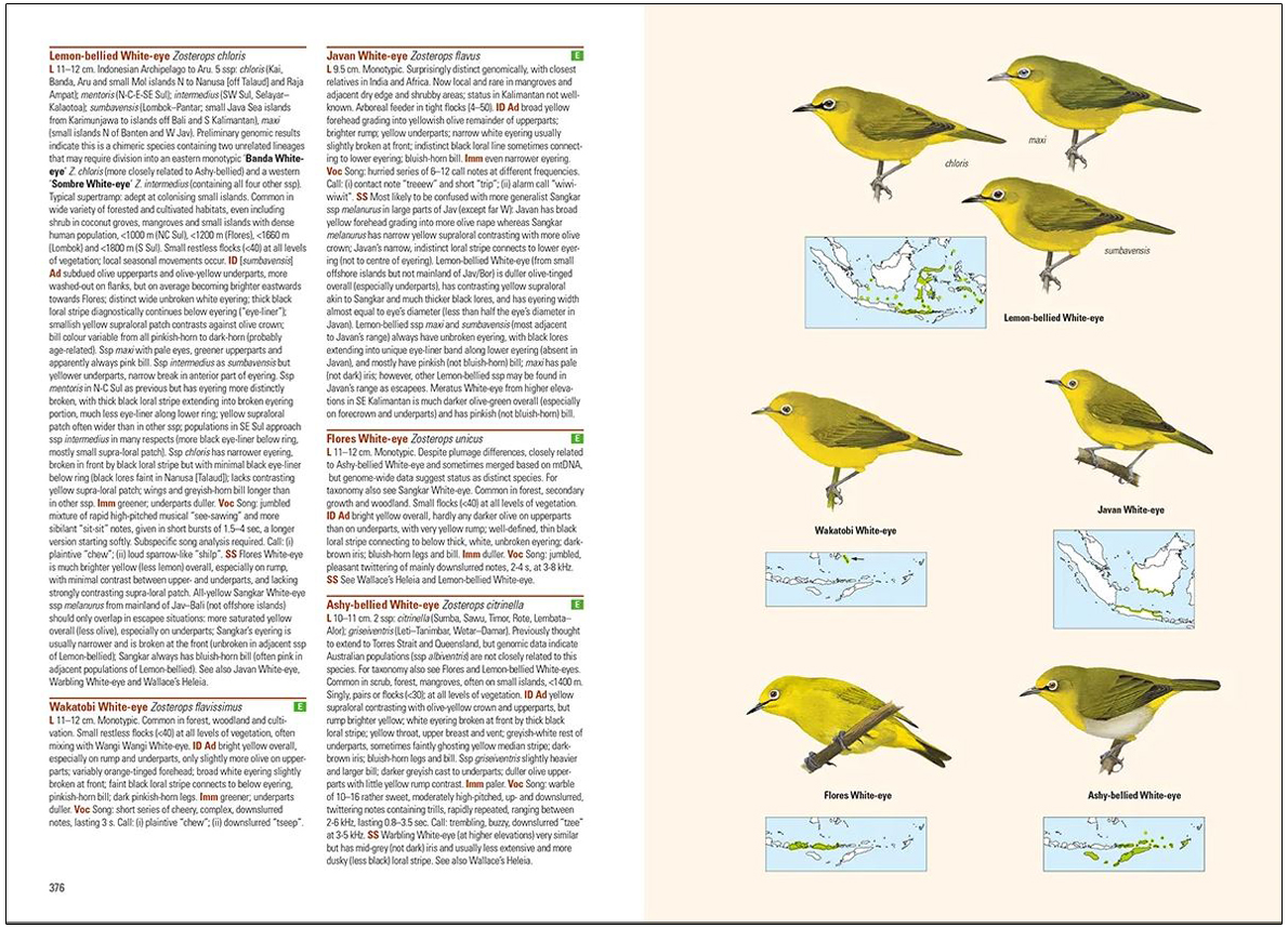 BIRDS OF THE INDONESIAN ARCHIPELAGO. GREATER SUNDAS AND WALLACEA 7