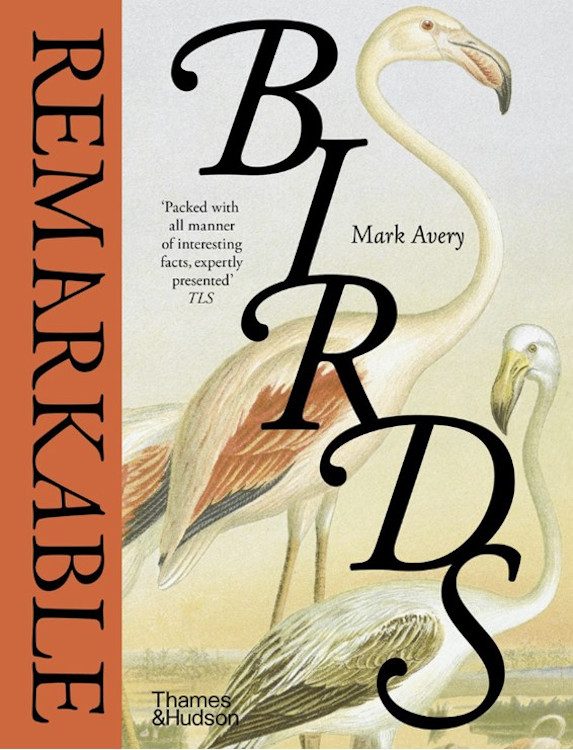 REMARKABLE BIRDS