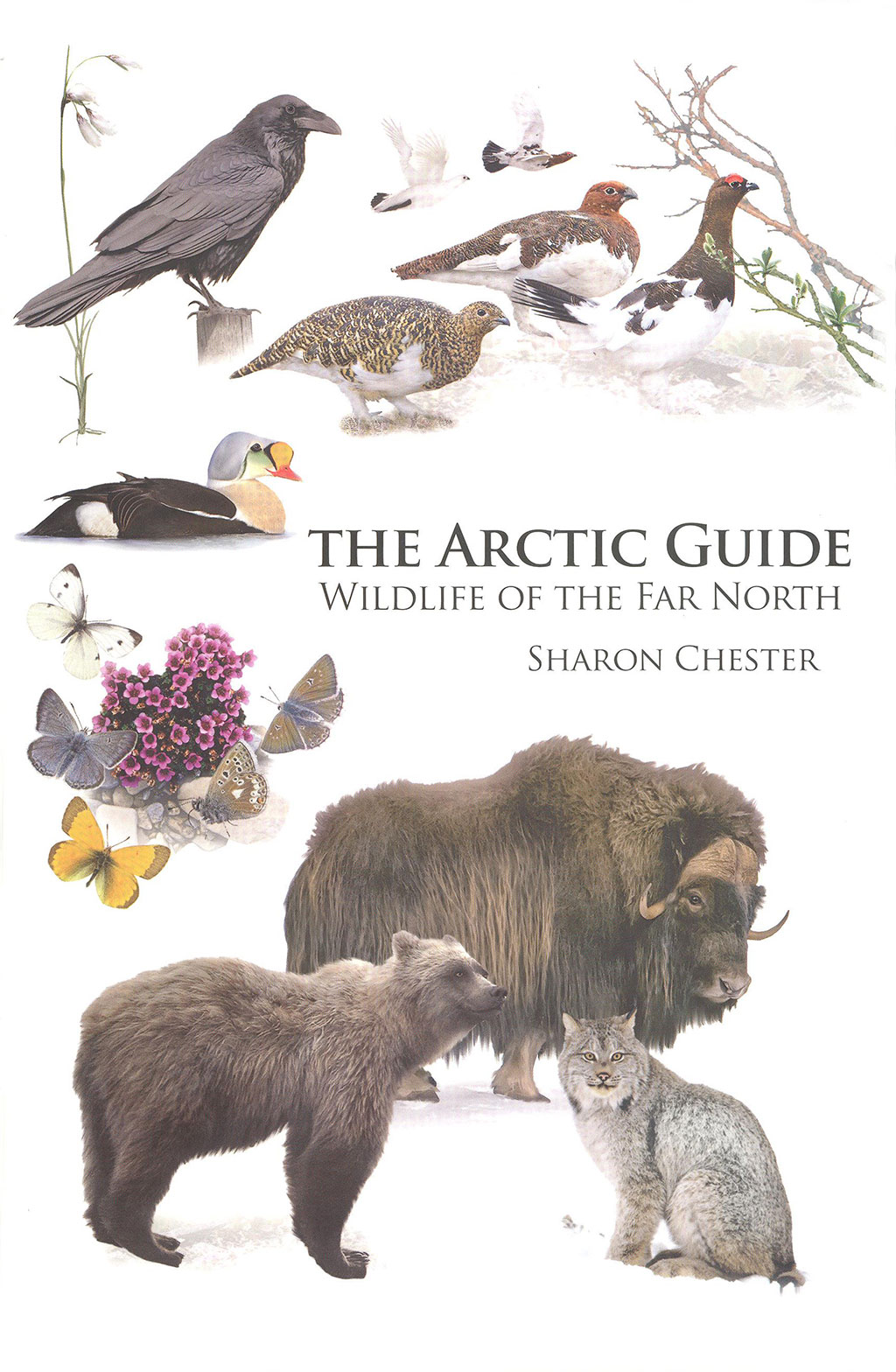 THE ARCTIC GUIDE. WILDLIFE OF THE FAR NORTH 1
