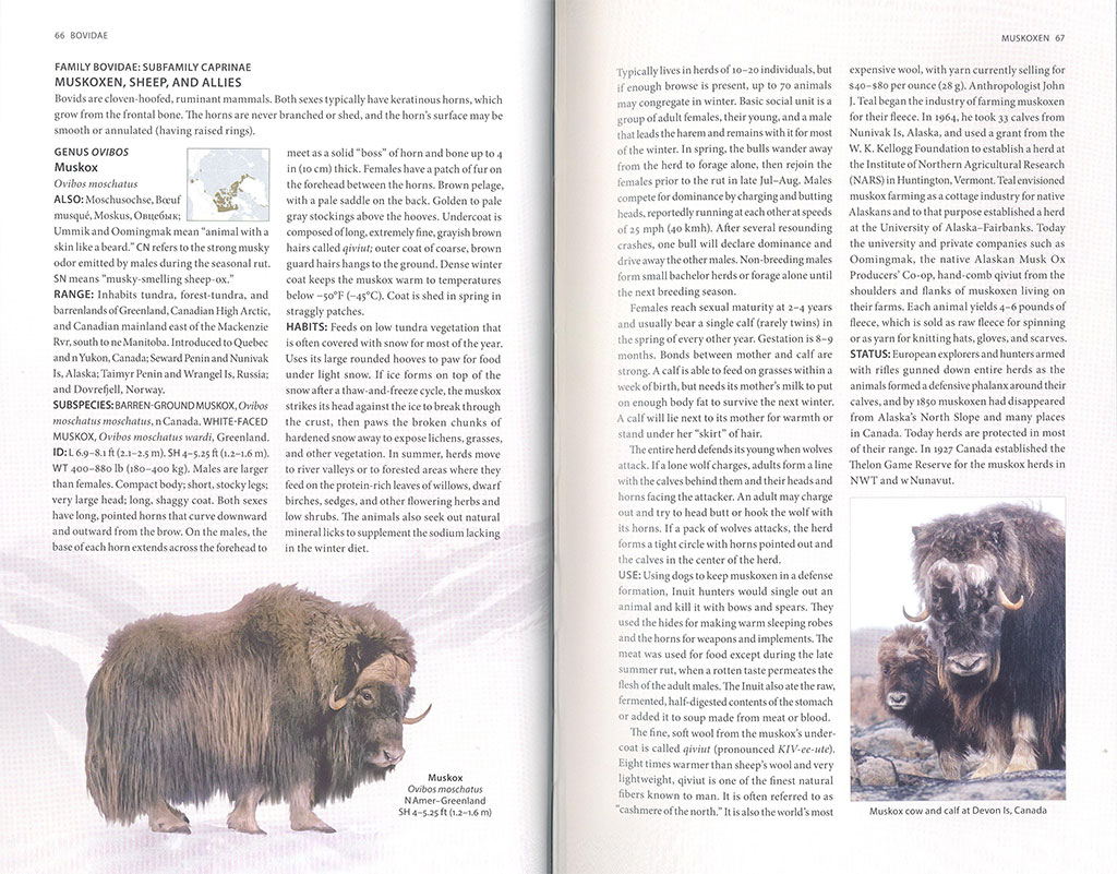 THE ARCTIC GUIDE. WILDLIFE OF THE FAR NORTH 2
