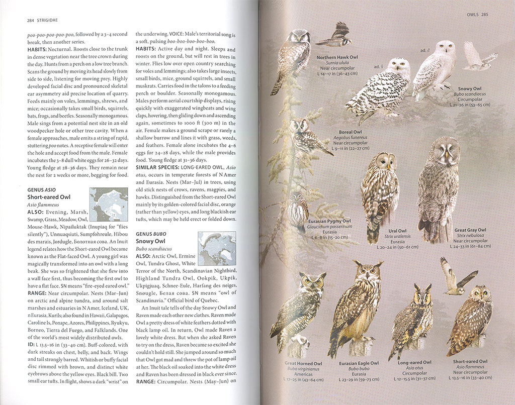 THE ARCTIC GUIDE. WILDLIFE OF THE FAR NORTH 3