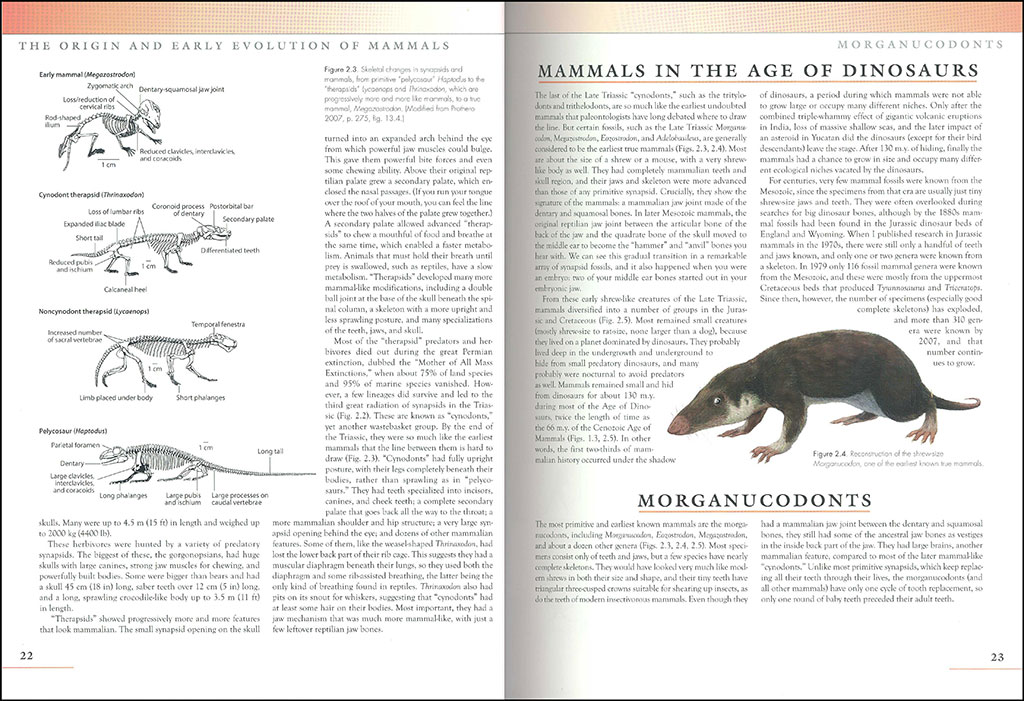 THE PRINCETON FIELD GUIDE TO PREHISTORIC MAMMALS 2