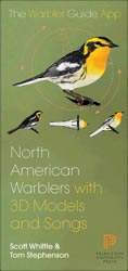 NORTH AMERICAN WARBLER FOLD-OUT GUIDE 1
