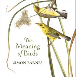 THE MEANING OF BIRDS