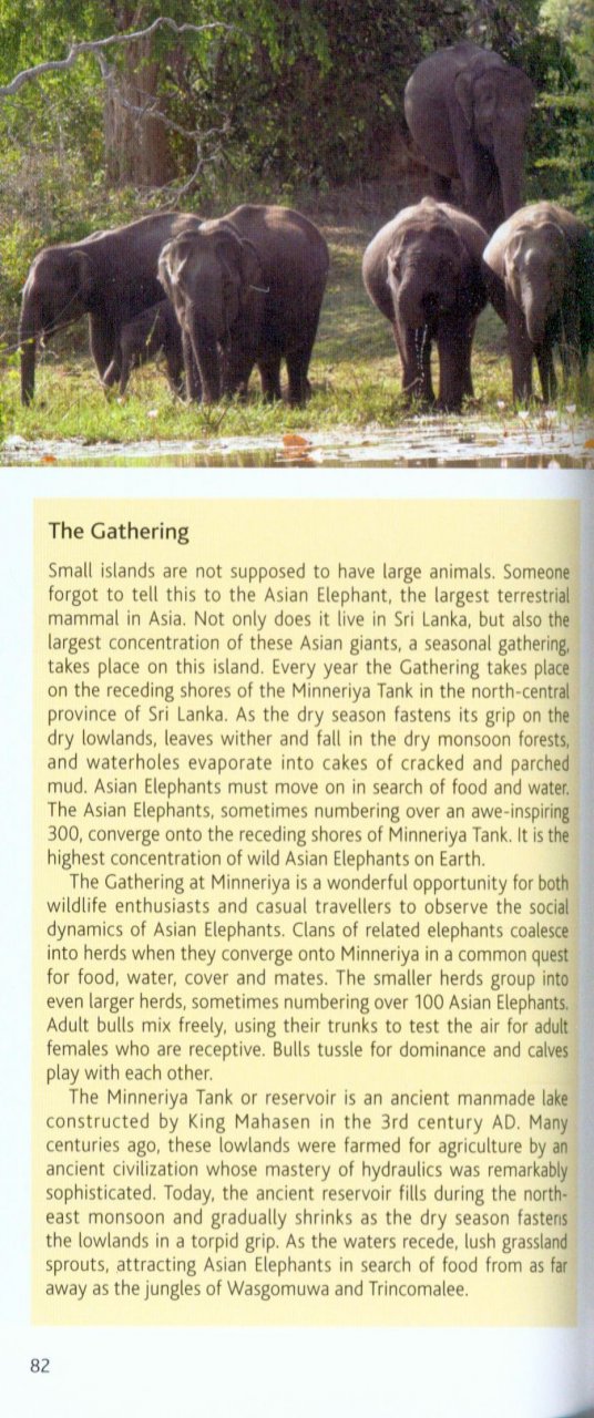 POCKET PHOTO GUIDE TO THE MAMMALS OF SRI LANKA 3