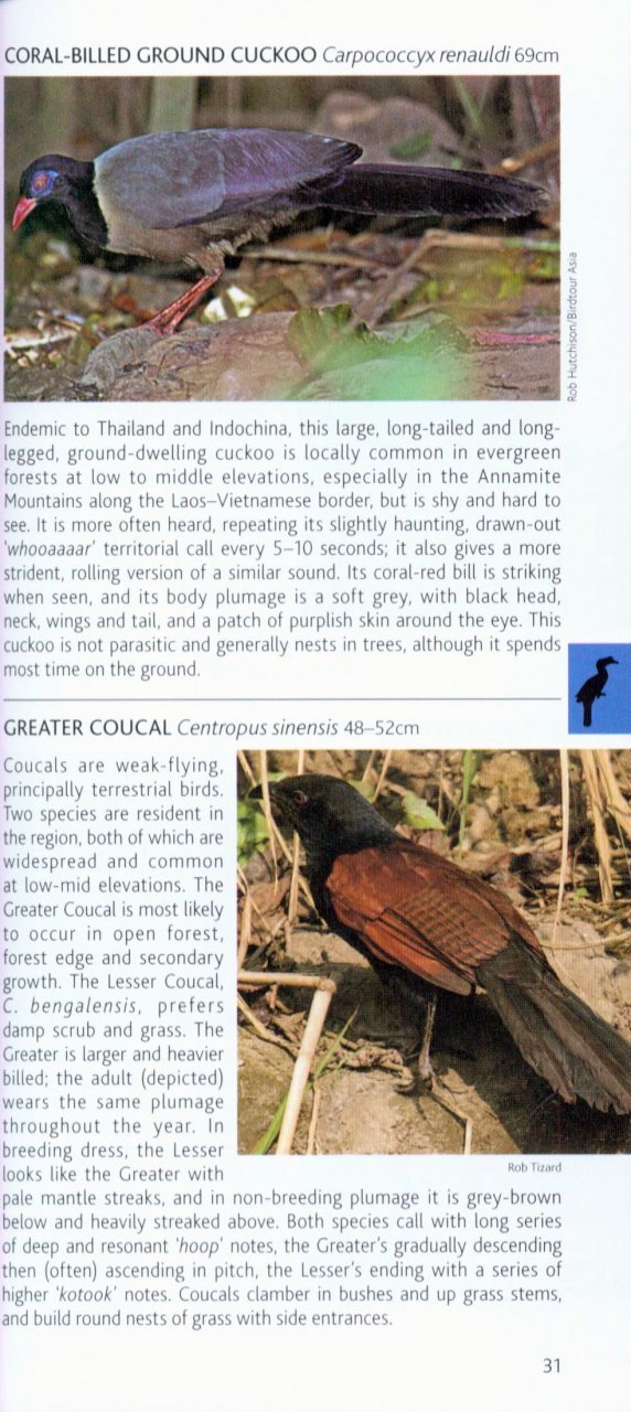 POCKET PHOTO GUIDE TO THE BIRDS OF VIETNAM, CAMBODIA AND LAOS 2