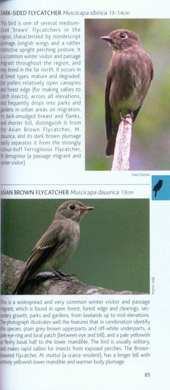 POCKET PHOTO GUIDE TO THE BIRDS OF VIETNAM, CAMBODIA AND LAOS 4