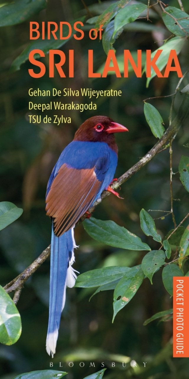 POCKET PHOTO GUIDE TO THE BIRDS OF SRI LANKA