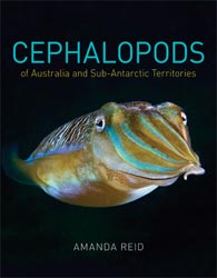 CEPHALOPODS OF AUSTRALIA AND SUB-ANTARCTIC TERRITORIES