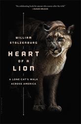 HEART OF A LION: A LONE CAT'S WALK ACROSS AMERICA 1