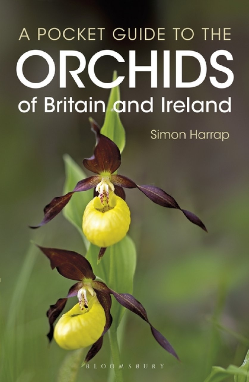 A POCKET GUIDE TO THE ORCHIDS OF BRITAIN AND IRELAND