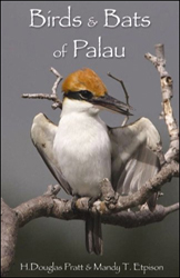 BIRDS AND BATS OF PALAU