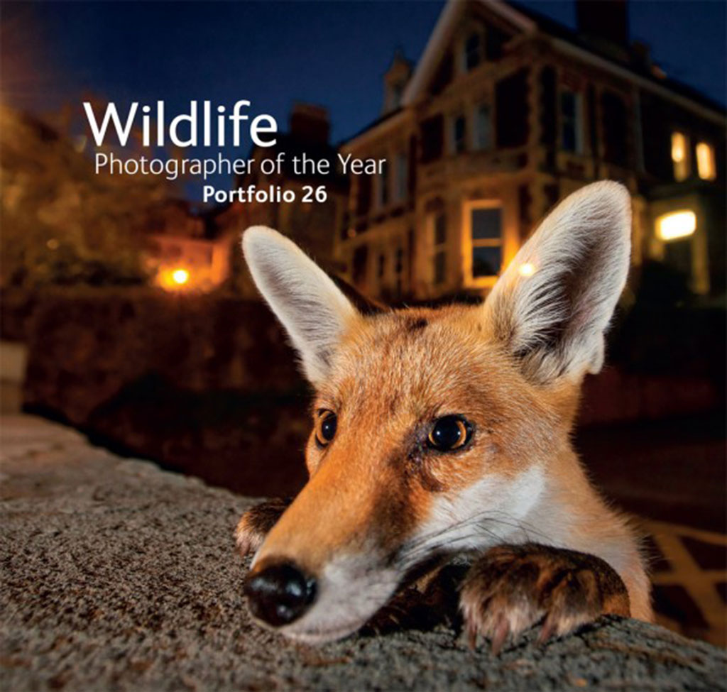 WILDLIFE PHOTOGRAPHER OF THE YEAR. PORTFOLIO 26