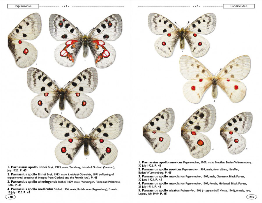 BUTTERFLIES OF EUROPE AND NEIGHBOURING REGIONS 2