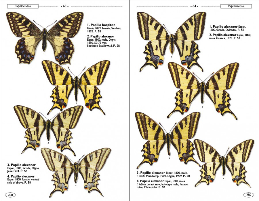 BUTTERFLIES OF EUROPE AND NEIGHBOURING REGIONS 3