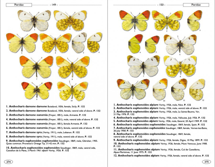 BUTTERFLIES OF EUROPE AND NEIGHBOURING REGIONS 4