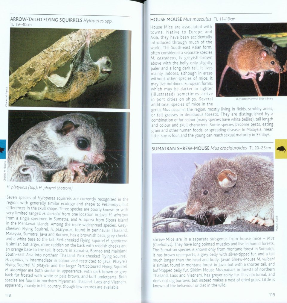 POCKET PHOTO GUIDE TO THE MAMMALS OF SOUTH-EAST ASIA 5