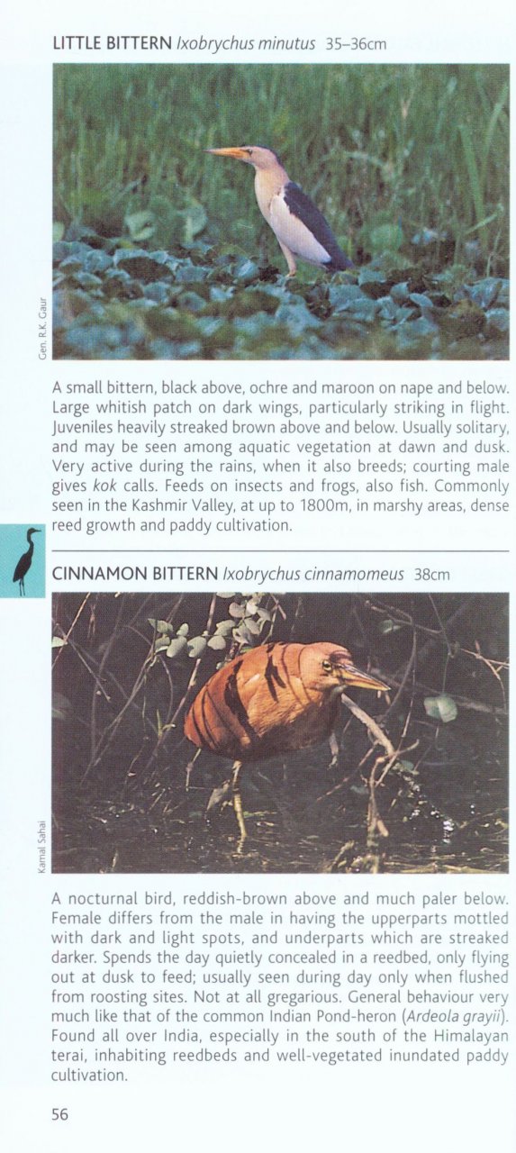POCKET PHOTO GUIDE TO THE BIRDS OF THE HIMALAYAS 3