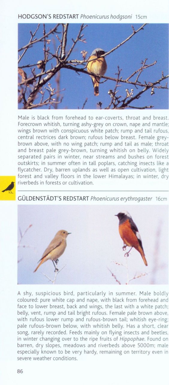 POCKET PHOTO GUIDE TO THE BIRDS OF THE HIMALAYAS 4