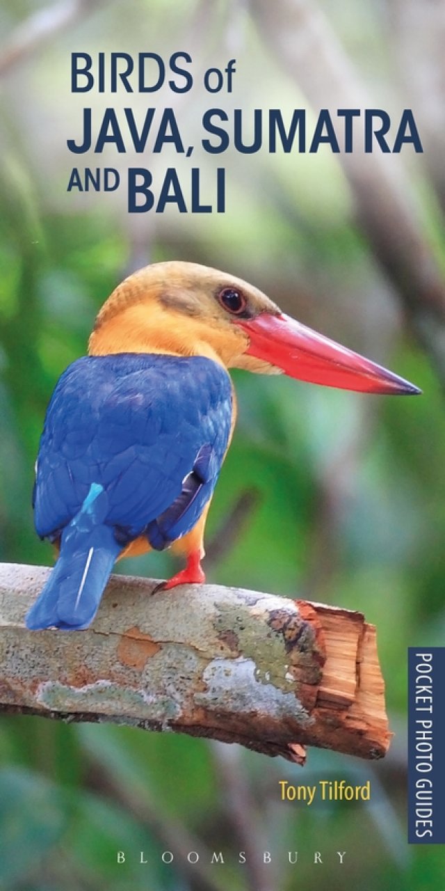 POCKET PHOTO GUIDE TO THE BIRDS OF JAVA, SUMATRA AND BALI