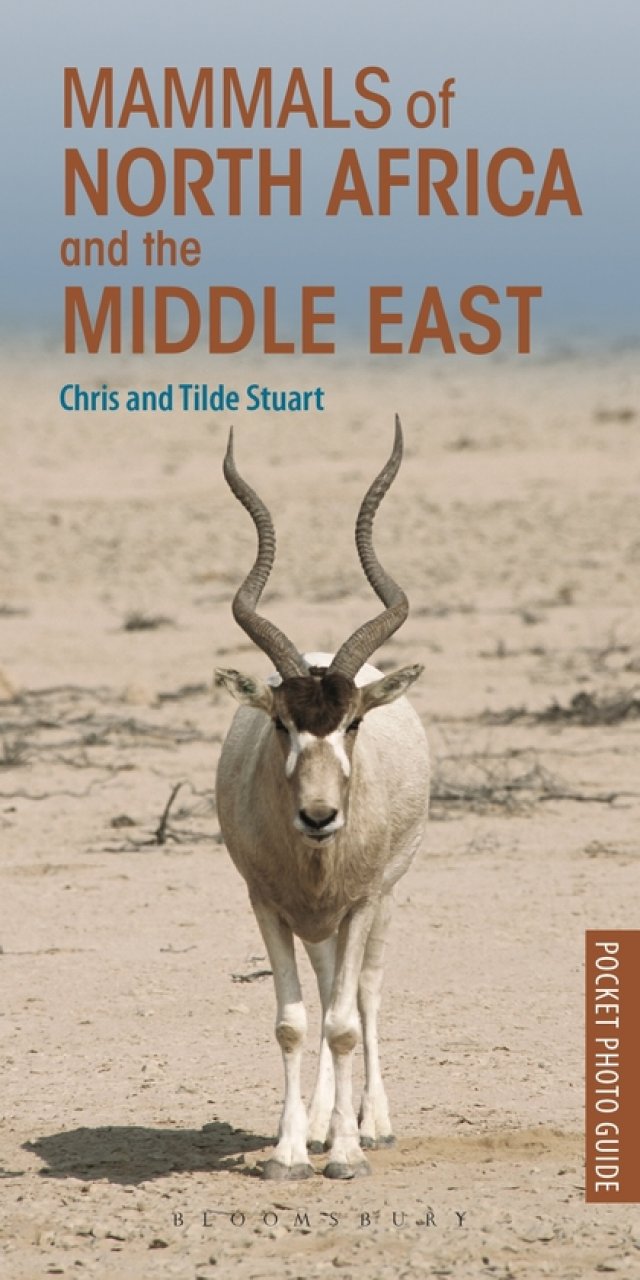 POCKET PHOTO GUIDE TO THE MAMMALS OF NORTH AFRICA AND THE MIDDLE EAST 1