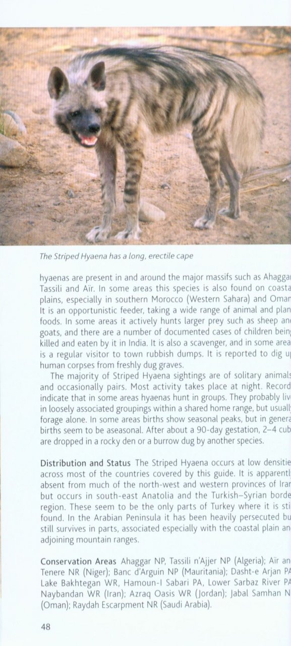 POCKET PHOTO GUIDE TO THE MAMMALS OF NORTH AFRICA AND THE MIDDLE EAST 3