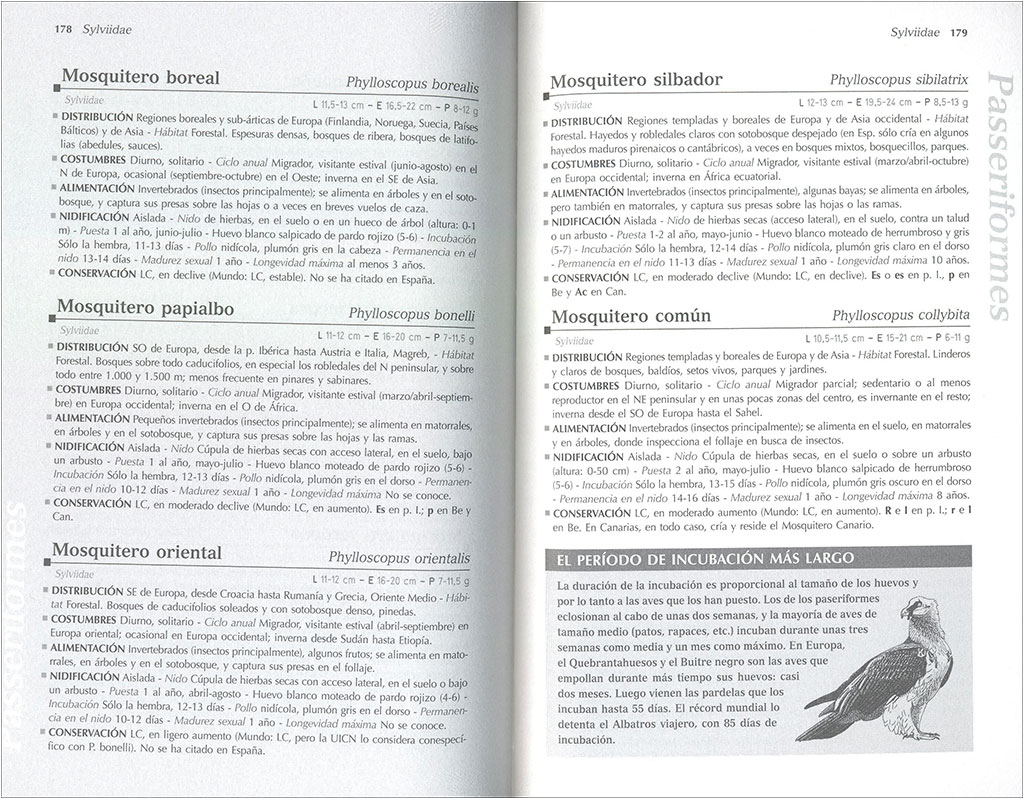 TODO SOBRE LAS AVES DE EUROPA 3