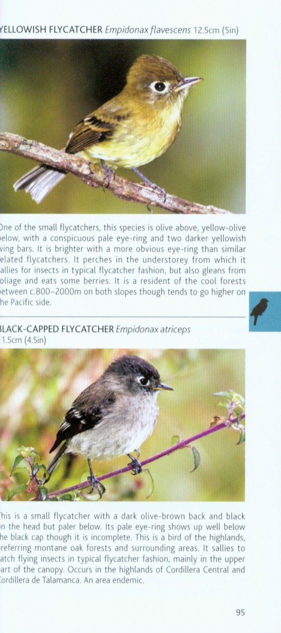 POCKET PHOTO GUIDE TO THE BIRDS OF COSTA RICA 5