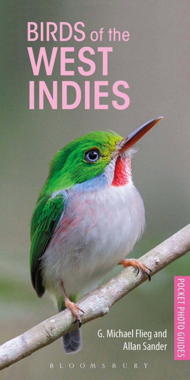 POCKET PHOTO GUIDE TO THE BIRDS OF THE WEST INDIES 1