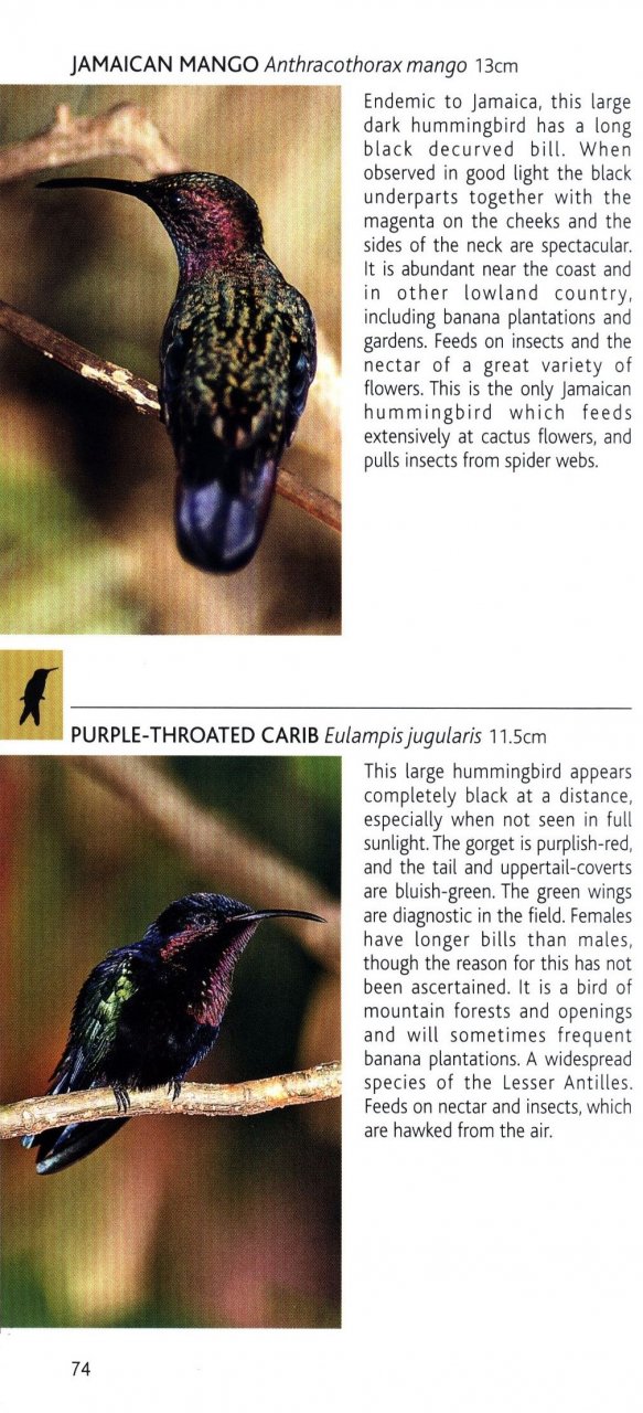 POCKET PHOTO GUIDE TO THE BIRDS OF THE WEST INDIES 2