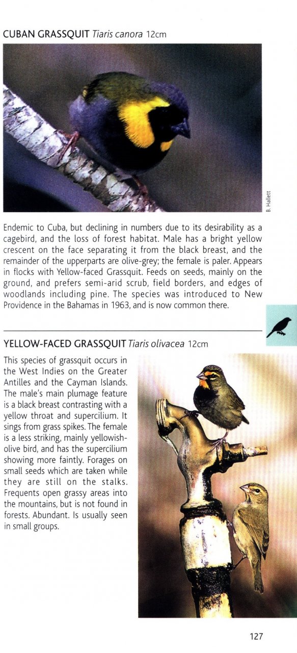 POCKET PHOTO GUIDE TO THE BIRDS OF THE WEST INDIES 4