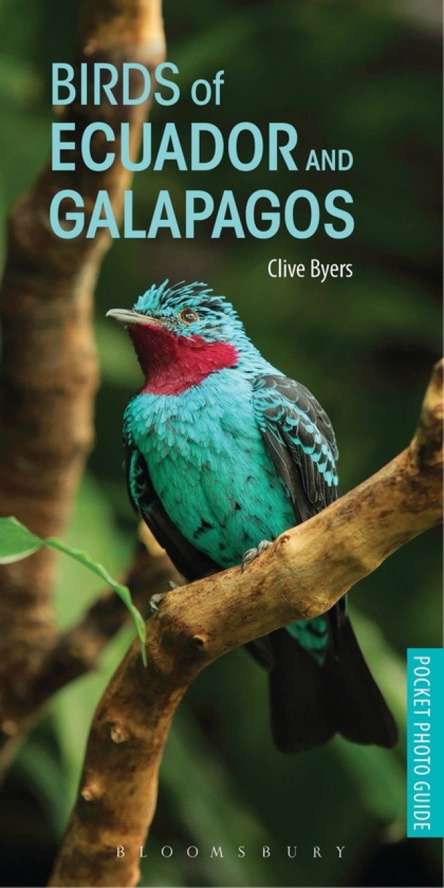 POCKET PHOTO GUIDE TO THE BIRDS OF ECUADOR AND GALAPAGOS 1