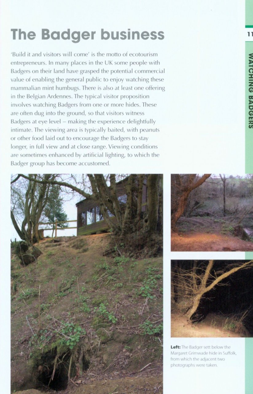 RSPB SPOTLIGHT: BADGERS 5