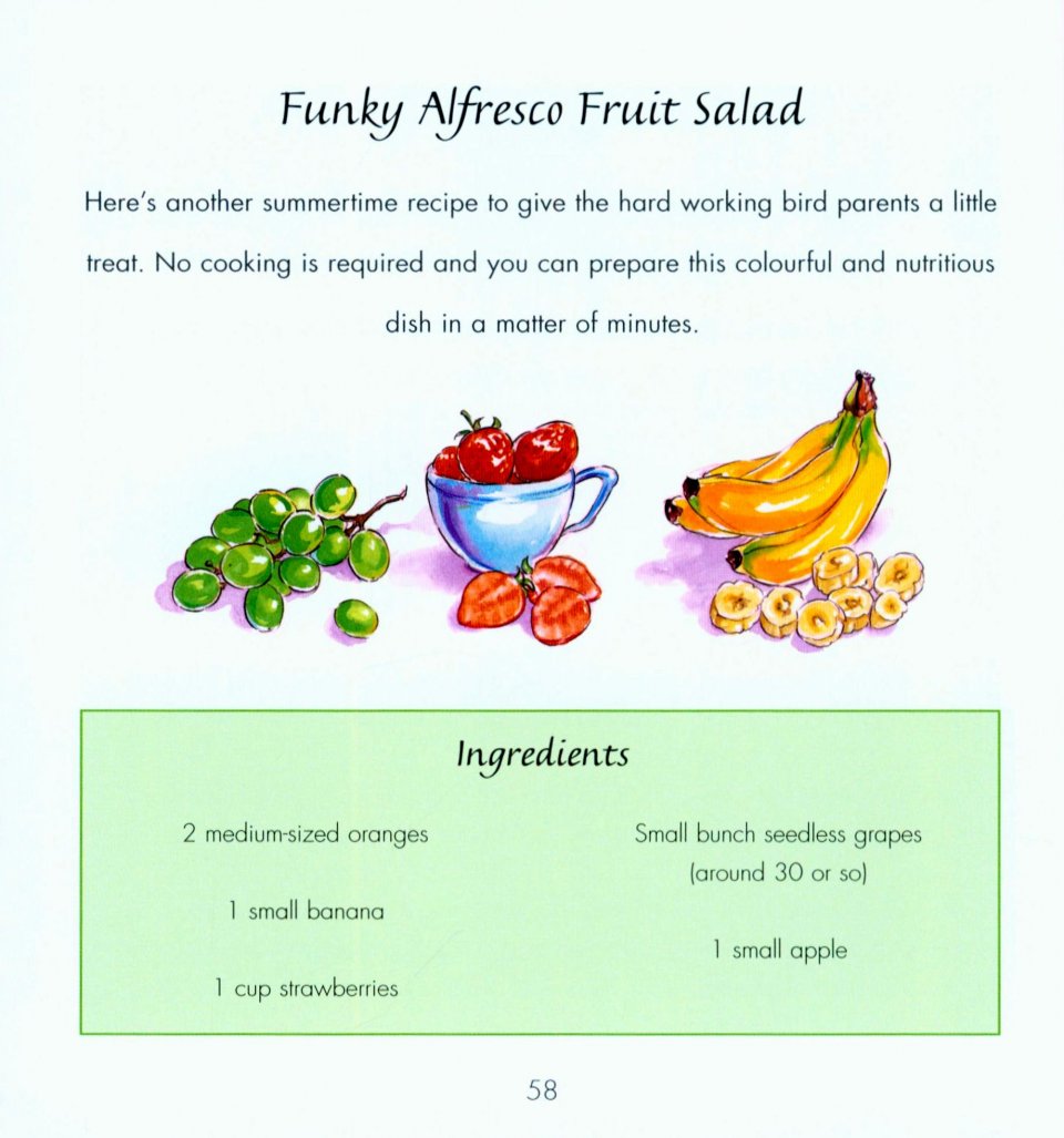 MAKE YOUR OWN BIRD FOOD 4