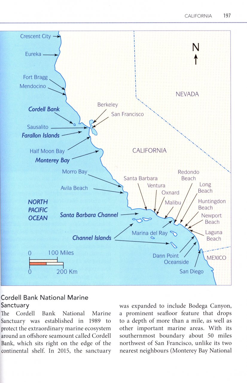 MARK CARWARDINE'S GUIDE TO WHALE WATCHING IN NORTH AMERICA 2