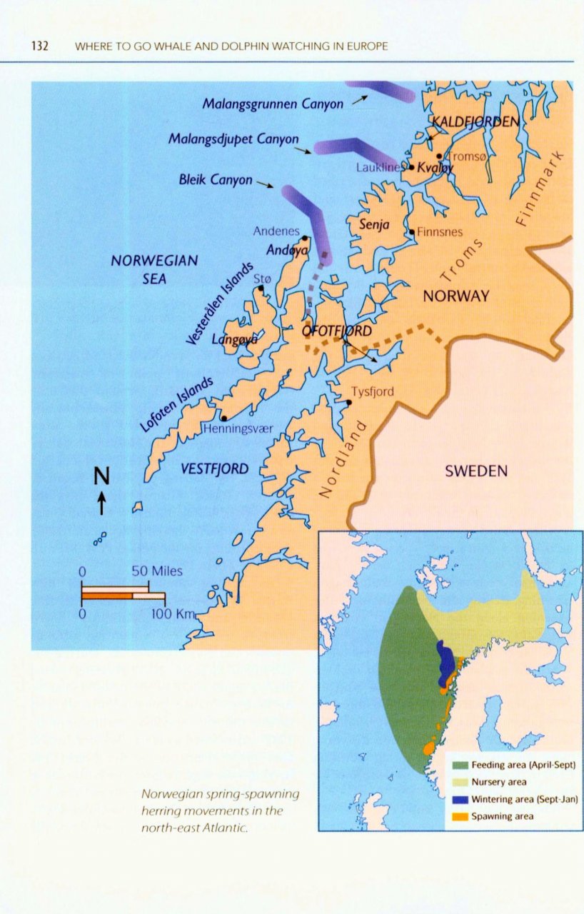 MARK CARWARDINE'S GUIDE TO WHALE WATCHING IN NORTH AMERICA 6