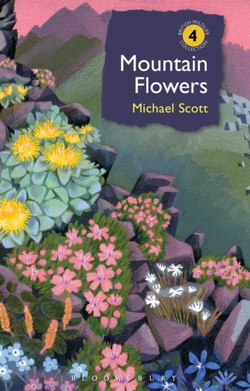 MOUNTAIN FLOWERS 1
