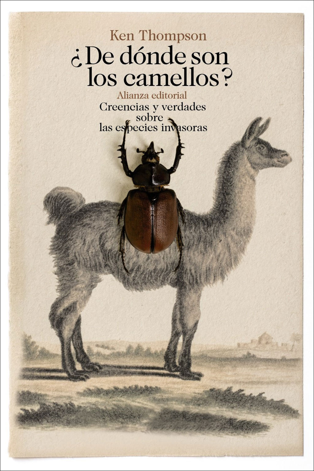 ¿DE DÓNDE SON LOS CAMELLOS? 1