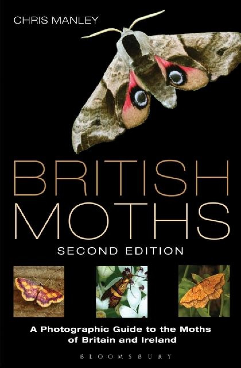 BRITISH MOTHS. A PHOTOGRAPHIC GUIDE TO THE MOTHS OF BRITAIN AND IRELAND
