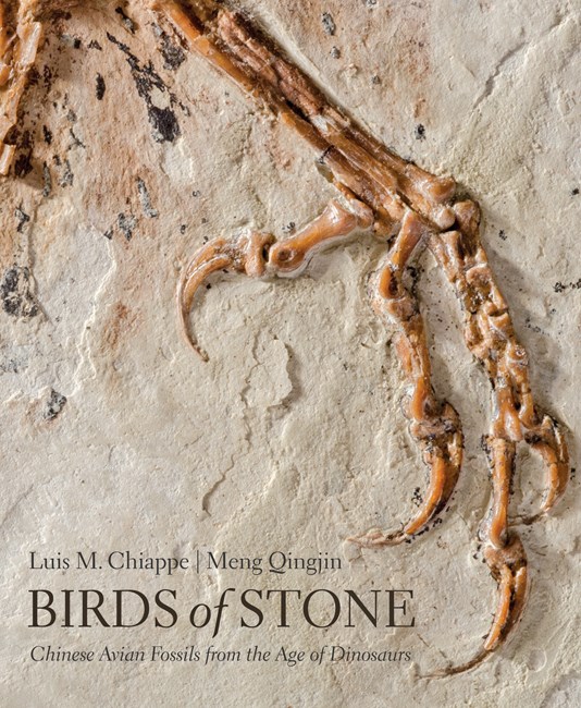 BIRDS OF STONE. CHINESE AVIAN FOSSILS FROM THE AGE OF DINOSAURS