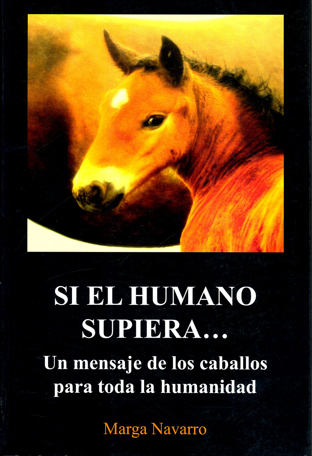 SI EL HUMANO SUPIERA...UN MENSAJE DE LOS CABALLOS PARA TODA LA HUMANIDAD.