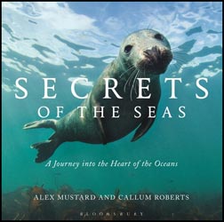 SECRETS OF THE SEAS: A JOURNEY INTO THE HEART OF THE OCEANS 1