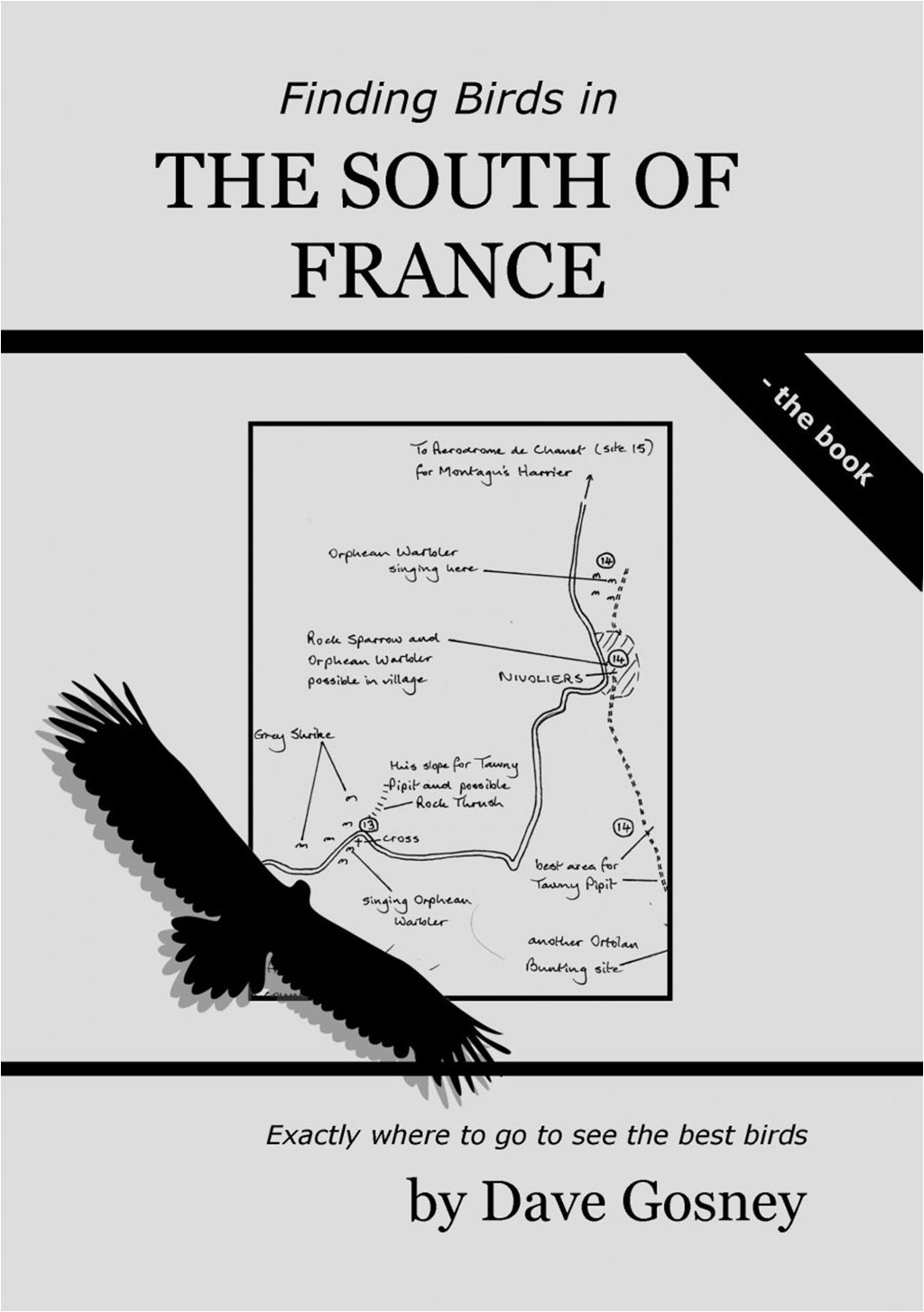FINDING BIRDS IN THE SOUTH OF FRANCE