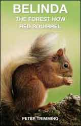 BELINDA. THE FOREST HOW RED SQUIRREL 1