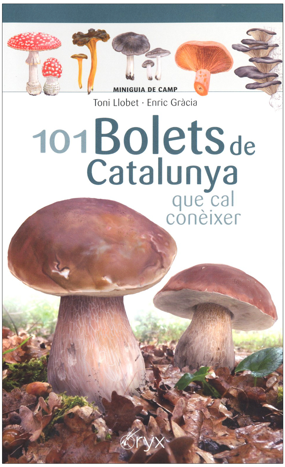 101 BOLETS DE CATALUNYA QUE CAL CONÈIXER. MINIGUIA DE CAMP 1