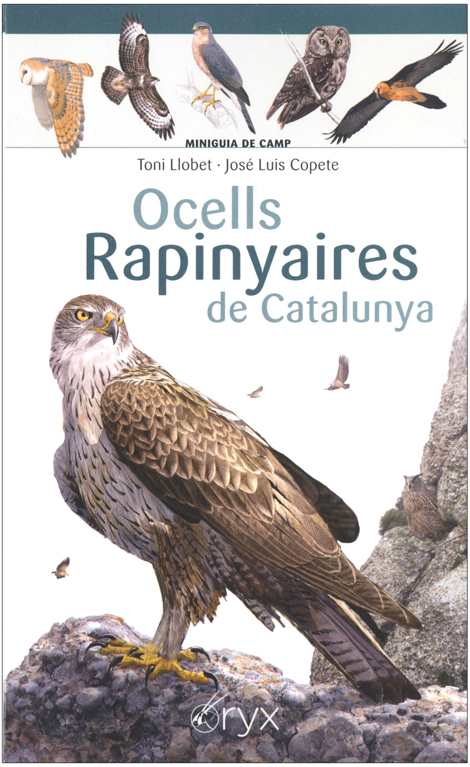 OCELLS RAPINYAIRES DE CATALUNYA. MINIGUIA DE CAMP 1